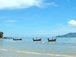 格林納達(dá)護(hù)照